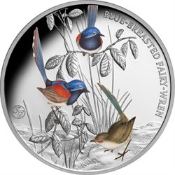 Niue - 1 oz Αργυρό, Γαλαζοστήθος νεραϊδοβασιλάκι, 2026